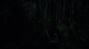 the100213_0859.jpg