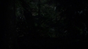 the100213_0864.jpg