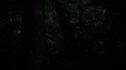 the100213_0865.jpg