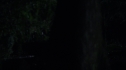 the100213_0867.jpg