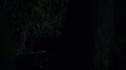the100213_0868.jpg