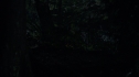 the100213_0875.jpg