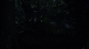 the100213_0876.jpg