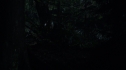 the100213_0877.jpg