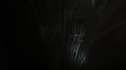 the100213_1469.jpg
