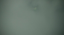 the100213_1472.jpg
