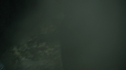 the100213_1474.jpg