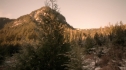 the100213_1528.jpg
