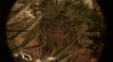 the100213_1545.jpg