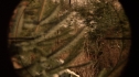 the100213_1547.jpg