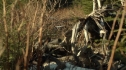 the100213_1569.jpg
