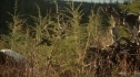 the100213_1576.jpg