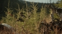 the100213_1577.jpg