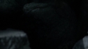 the100213_1664.jpg