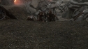 the100213_1868.jpg