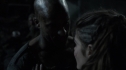 the100213_1954.jpg
