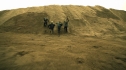 the100214_1266.jpg