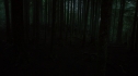 the100214_1604.jpg
