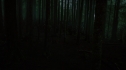 the100214_1609.jpg