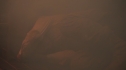 the100214_1780.jpg