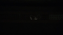 the100215_0252.jpg