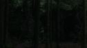 the100215_0379.jpg