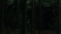 the100215_0380.jpg