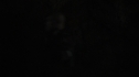 the100215_0505.jpg