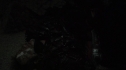 the100215_0725.jpg