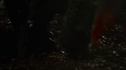 the100215_1300.jpg