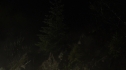 the100215_1325.jpg