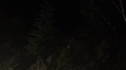 the100215_1326.jpg