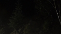 the100215_1513.jpg