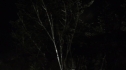 the100215_1518.jpg