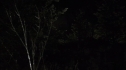 the100215_1519.jpg