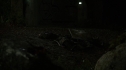 the100215_1526.jpg