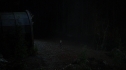 the100215_2058.jpg