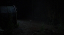the100215_2059.jpg