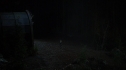 the100215_2060.jpg