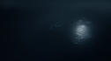 the100216_0009.jpg