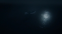 the100216_0011.jpg