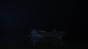 the100216_0537.jpg