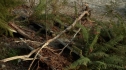 the100216_1110.jpg