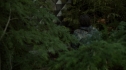 the100216_1111.jpg