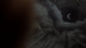 the100_101_0030.jpg