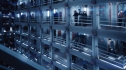 the100_101_0104.jpg