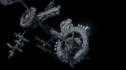 the100_101_0162.jpg