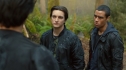 the100_101_1246.jpg