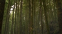the100_101_1368.jpg