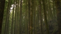 the100_101_1369.jpg